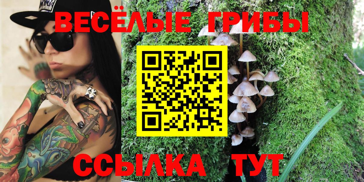 Углич  где купить   Псилоцибиновые грибы Psilocybine cubensis  Вход с VPN  Галлюциногенные грибы Psilocybine cubensis 